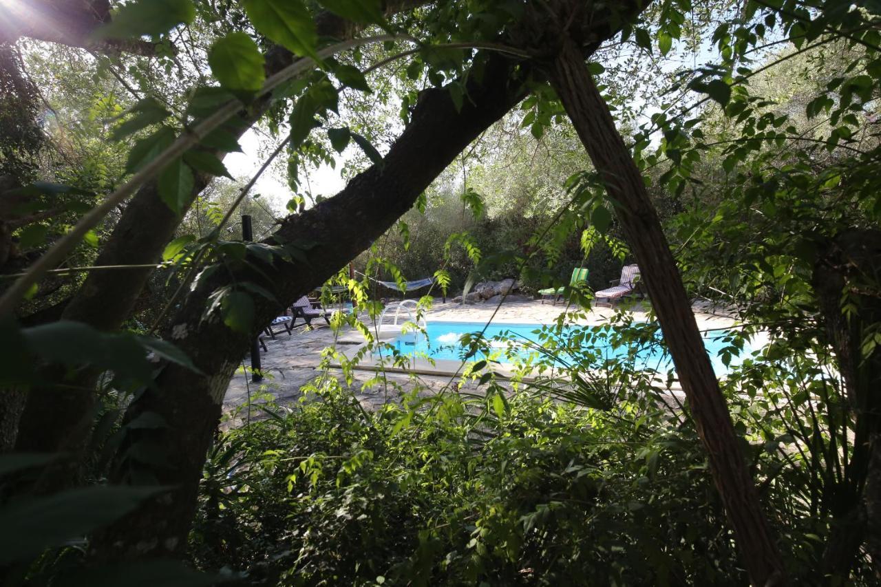 Tikal Boungalows Hotell Malcocinado  Eksteriør bilde